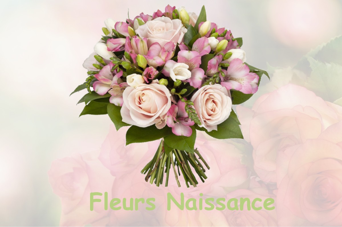 fleurs naissance PLESCOP