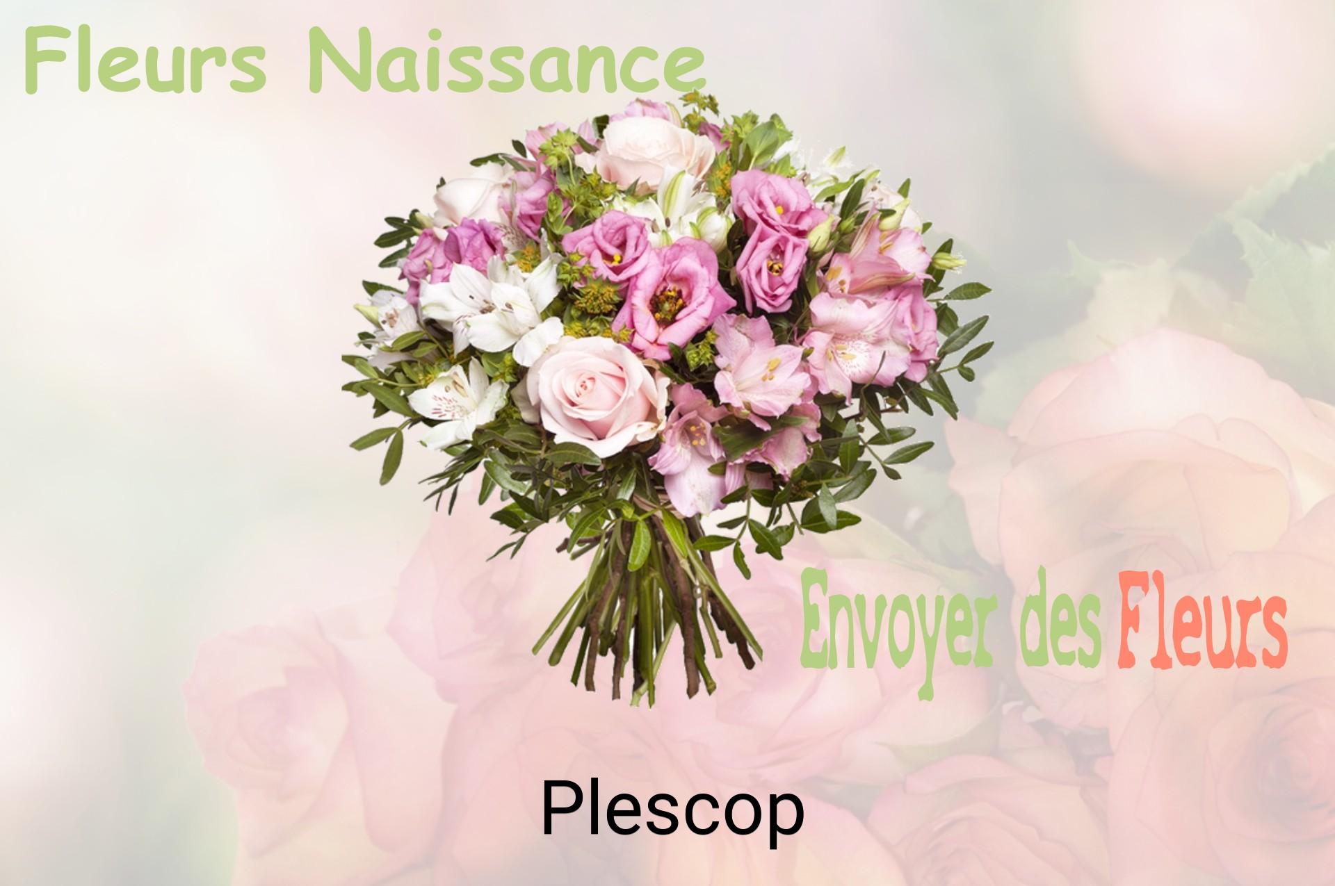 Bouquet de fleurs de naissance livré à Plescop