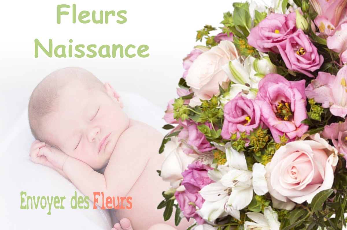 lIVRAISON FLEURS NAISSANCE à PLESCOP